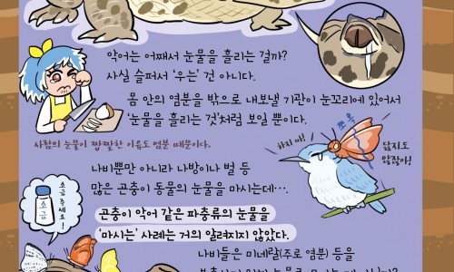 7个月的宝宝很爱出汗怎么办啊吃什么药专区_一口高压锅划拳歌视频专区_7个月的宝宝很爱出汗怎么办啊网